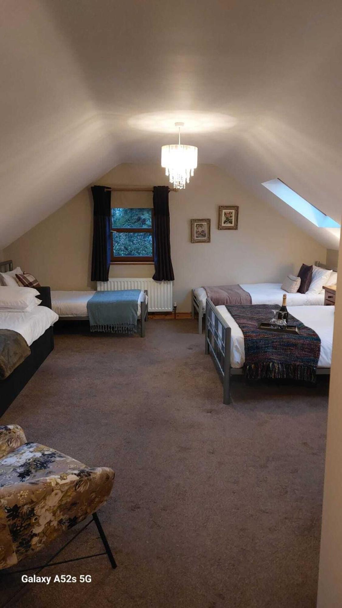 Dunhill Cottage B&B Hillsborough Szoba fotó